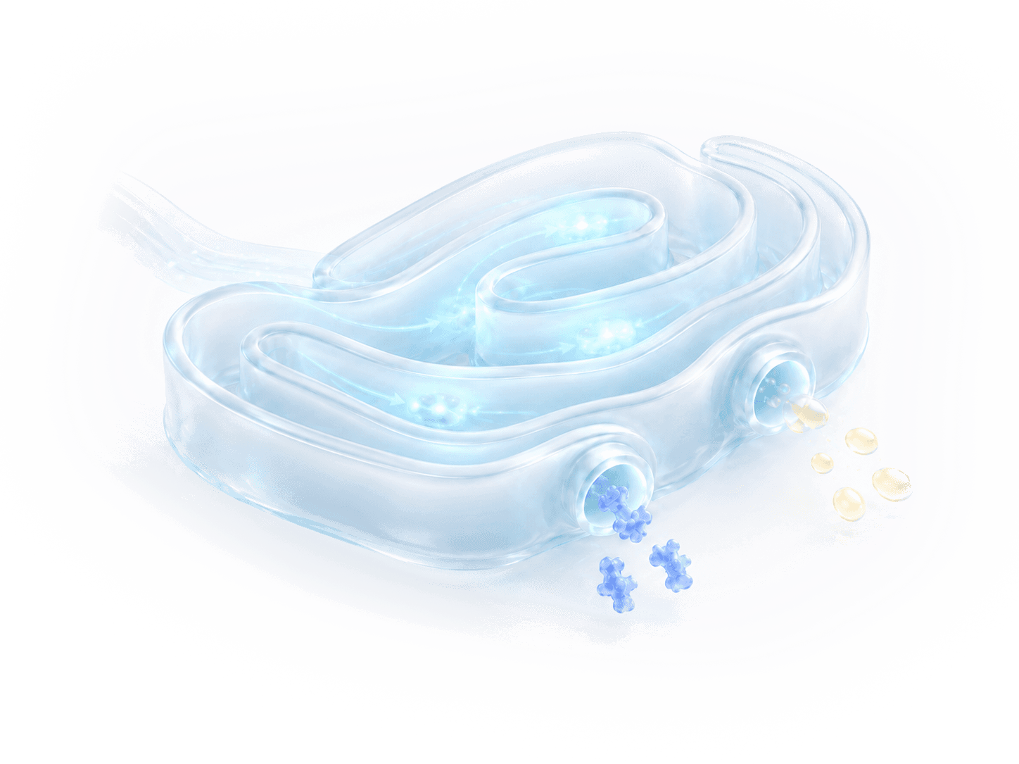 Cell Clinics illustration of cellular transport and regulation processes